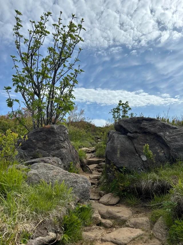 Art Loeb Trail